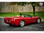Thumbnail Photo 36 for 1999 Chevrolet Corvette Convertible